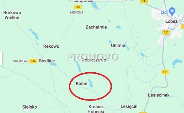 położenie